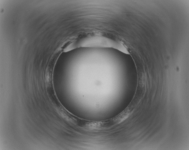 X0000083560084200702231615