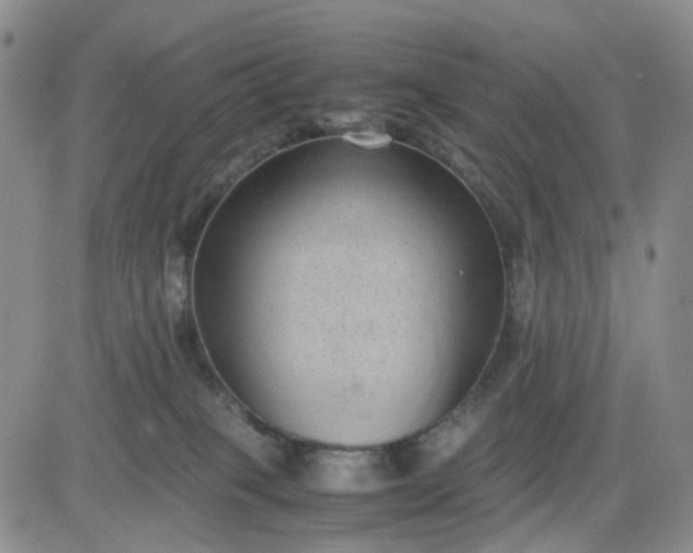 X0000083560085200702231615