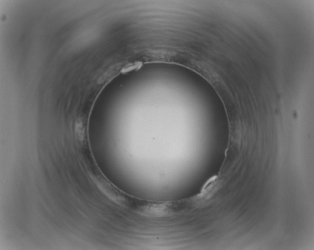 X0000083560086200702231615