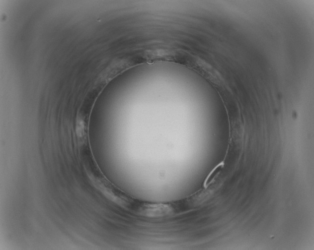 X0000083560087200702231615