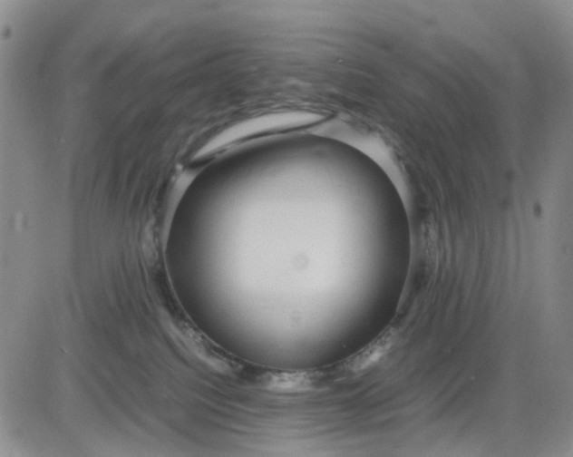 X0000083560088200702231615