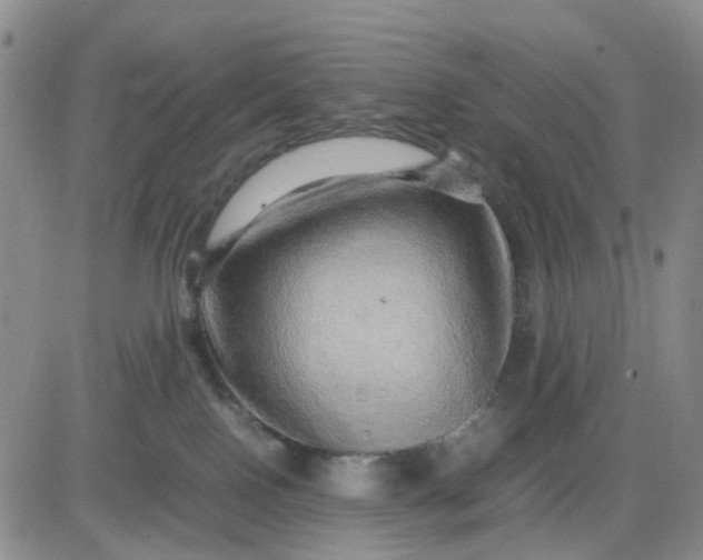 X0000083560090200702231615