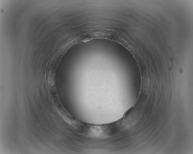 X0000083560091200702231615