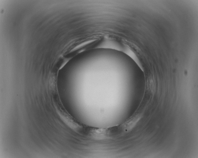 X0000083560092200702231615