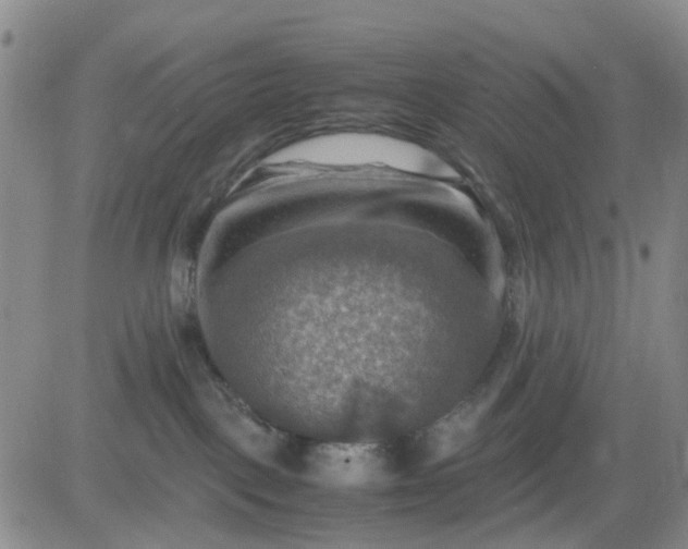 X0000083560093200702231615