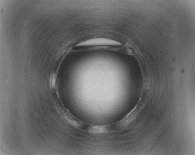 X0000083560095200702231615