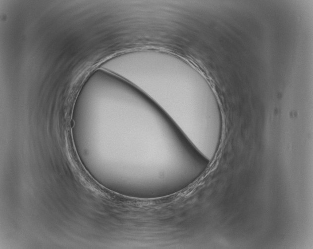 X0000083560097200702231614