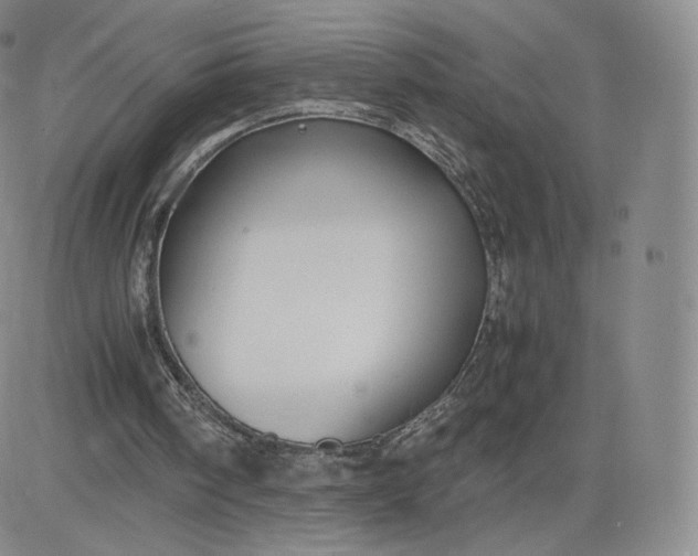 X0000083560098200702231614