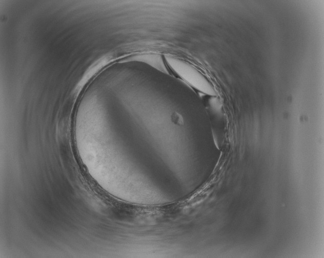 X0000083560099200702231614