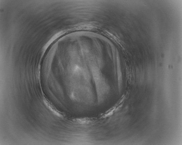 X0000083560100200702231614