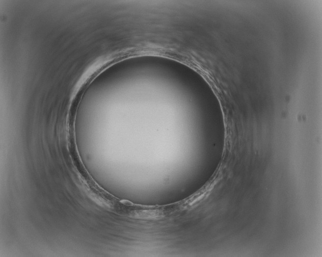 X0000083560102200702231614