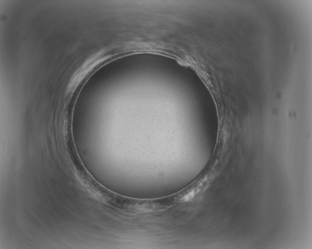 X0000083560103200702231614