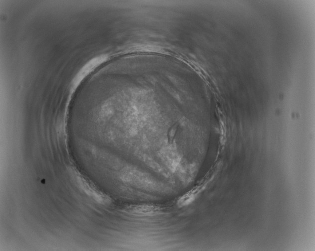 X0000083560104200702231614