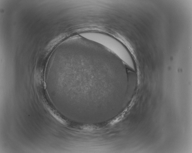 X0000083560105200702231614