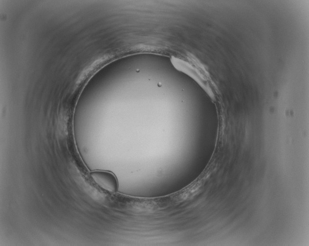 X0000083560106200702231614