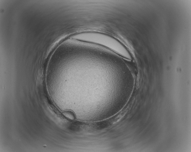 X0000083560107200702231614