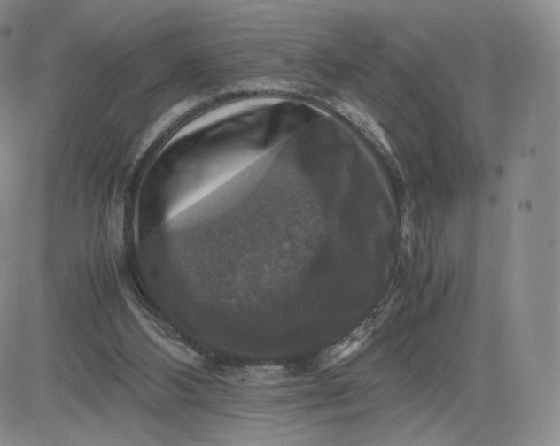 X0000083560108200702231614