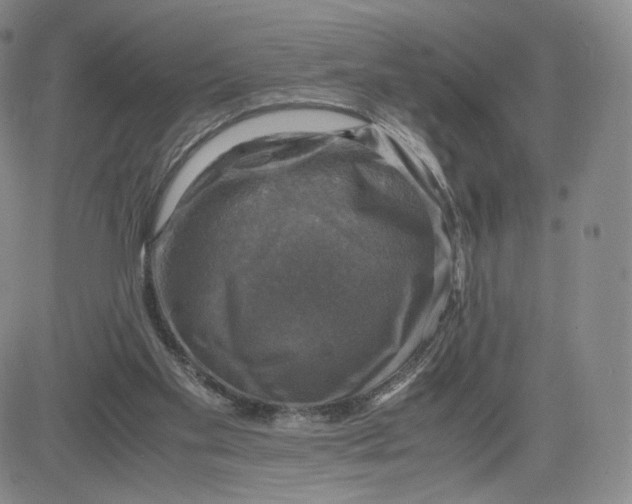 X0000083560109200702231614