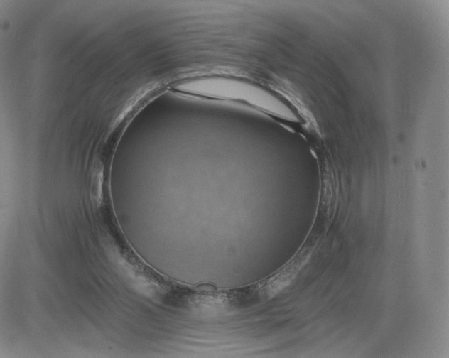 X0000083560110200702231614