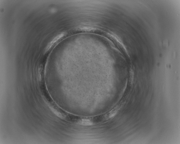 X0000083560114200702231614