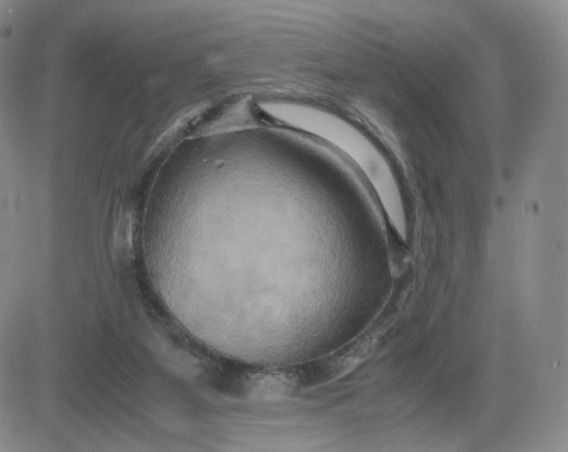 X0000083560115200702231614