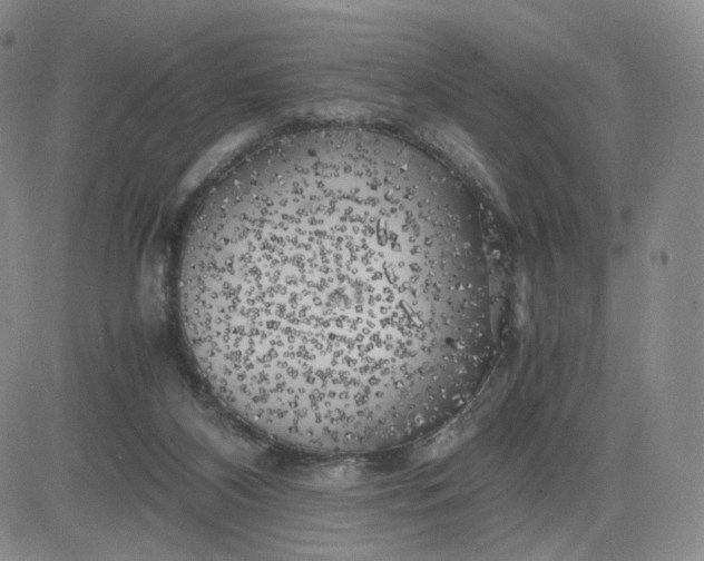 X0000083560116200702231614