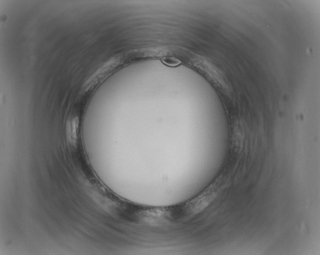 X0000083560118200702231614