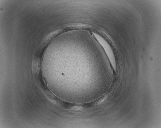 X0000083560119200702231614