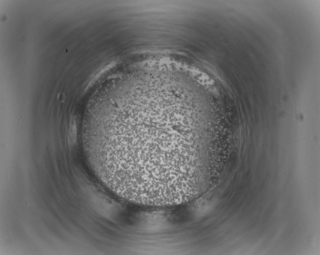 X0000083560120200702231614