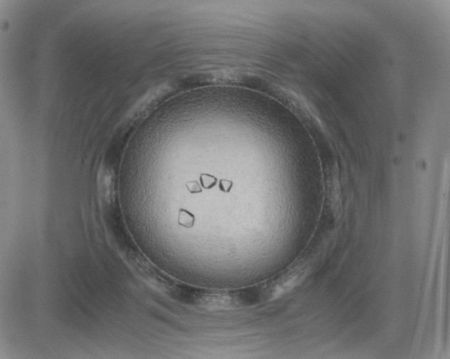 X0000083560123200702231614