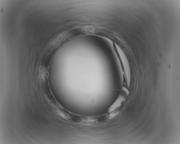 X0000083560125200702231614