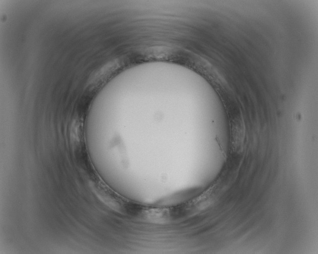 X0000083560126200702231614