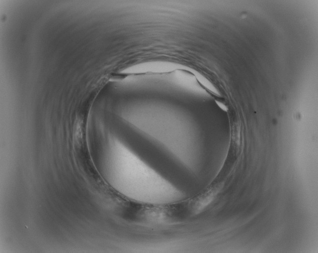 X0000083560127200702231614