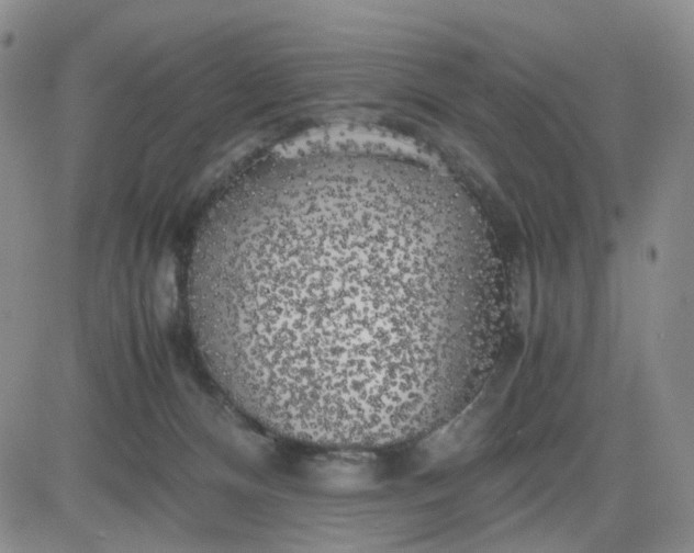 X0000083560128200702231613