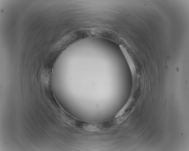 X0000083560129200702231613