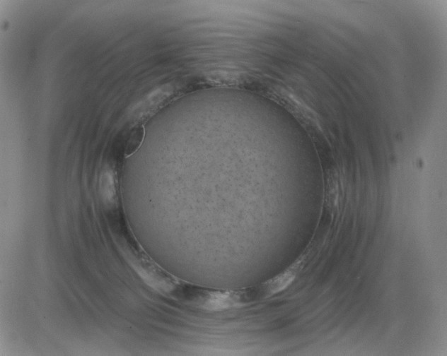 X0000083560130200702231613