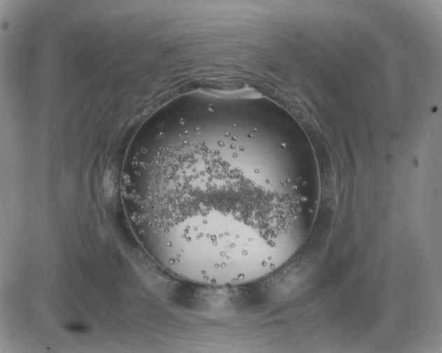 X0000083560131200702231613