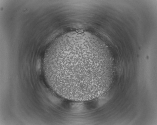 X0000083560132200702231613