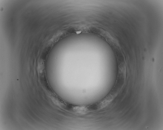 X0000083560133200702231613