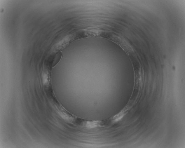 X0000083560134200702231613