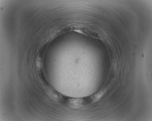 X0000083560135200702231613