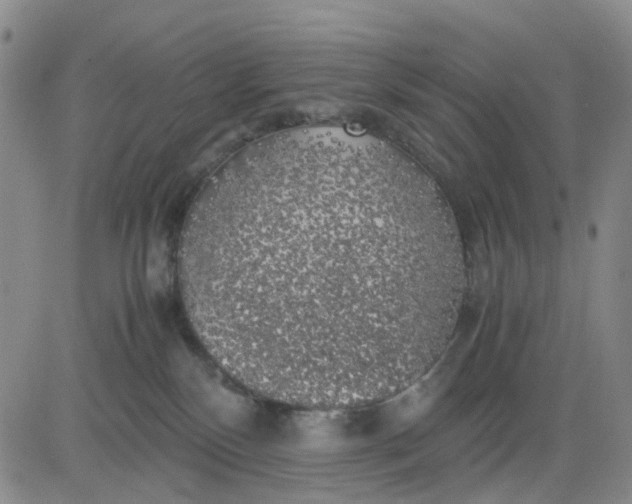 X0000083560136200702231613