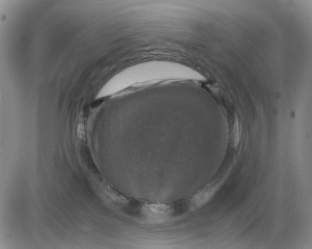 X0000083560137200702231613