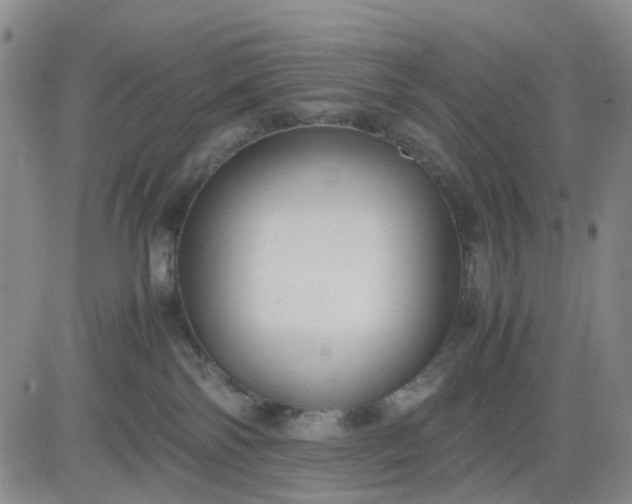 X0000083560138200702231613