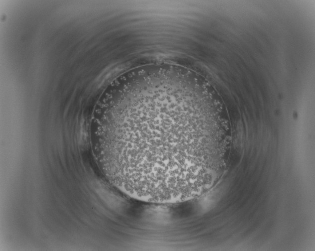 X0000083560140200702231613