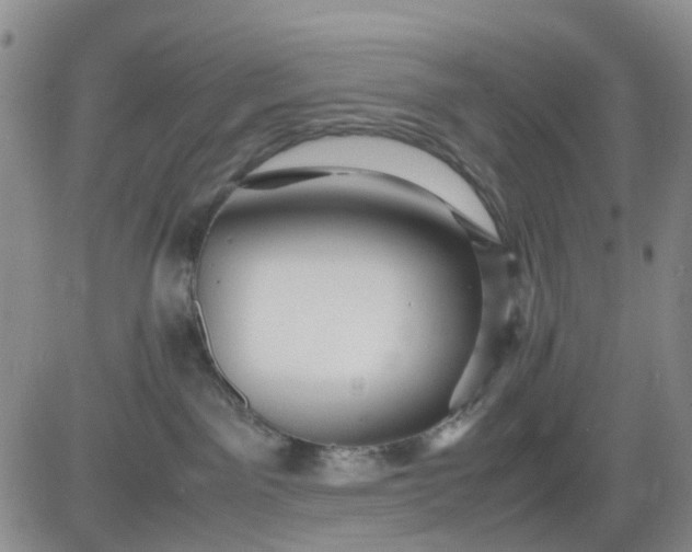 X0000083560141200702231613