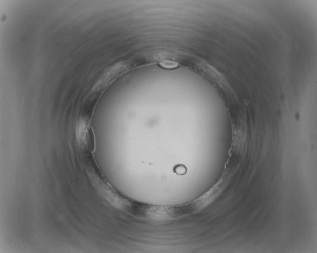 X0000083560142200702231613