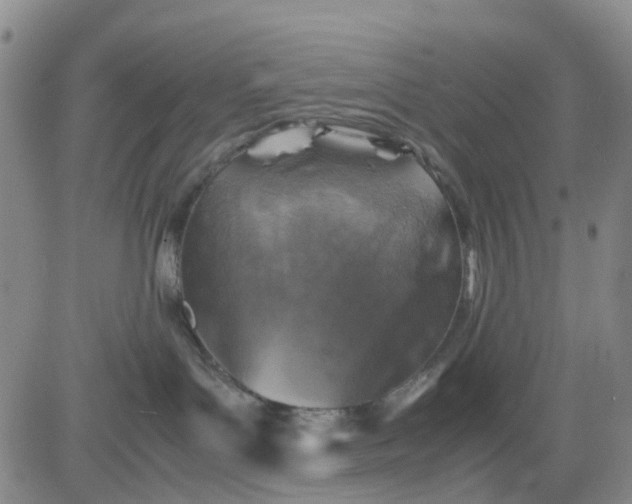 X0000083560143200702231613