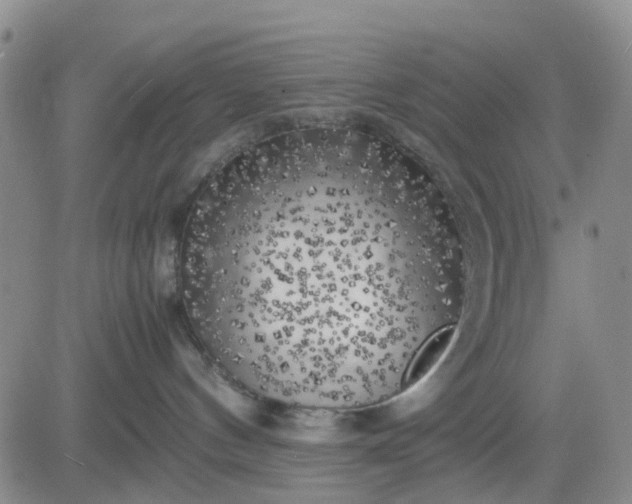 X0000083560144200702231613