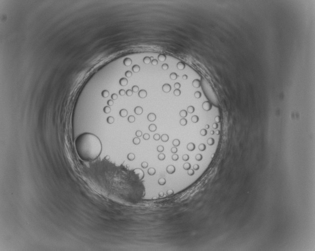 X0000083560145200702231612